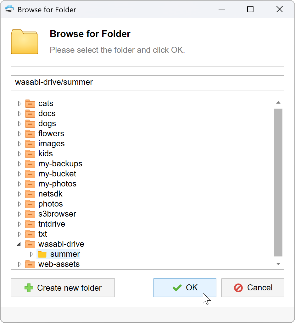 New folder selected in the Browse for Folder dialog